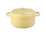 Cast iron enamel pot